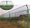 Wire Mesh Fence